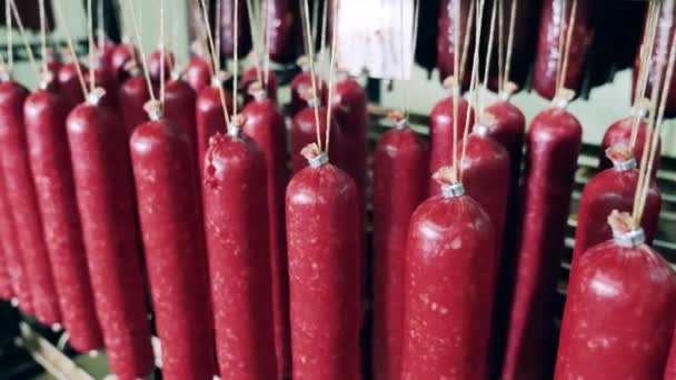 Red sausages cooked at meat packing factory. — Stock Video