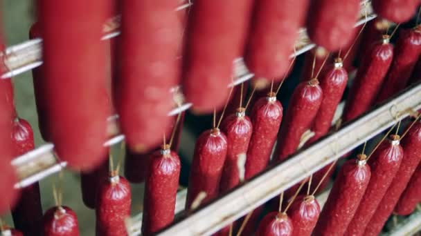 Salsichas defumadas que cozinham em uma tortura na fábrica. — Vídeo de Stock