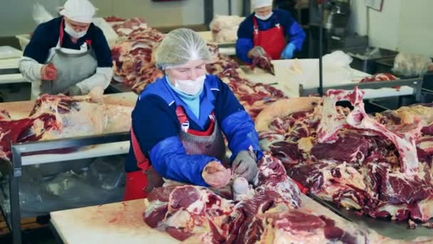 Frauen schneiden Schweinefleisch in Fleischverpackungsanlage. — Stockvideo