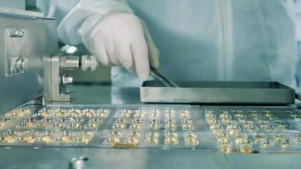 Läkemedel, apotekskoncept. Läkemedelsarbetare plockar upp piller från paletterna — Stockvideo