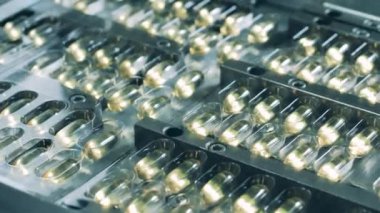 Balık yağı haplı paletler konveyör tarafından taşınıyor.