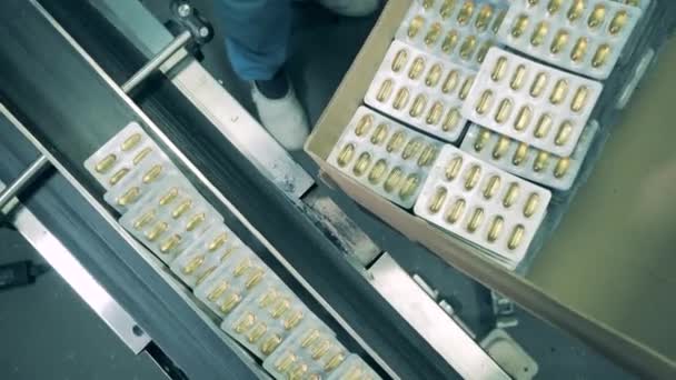 Las ampollas con píldoras de aceite de pescado se están empaquetando en una caja — Vídeos de Stock