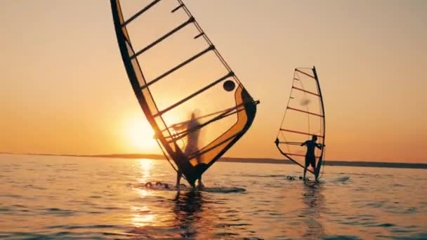 Men are managing sailboards while sailing in the sea — Stock Video