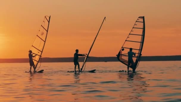 Группа мужчин занимается виндсерфингом в море на закате — стоковое видео