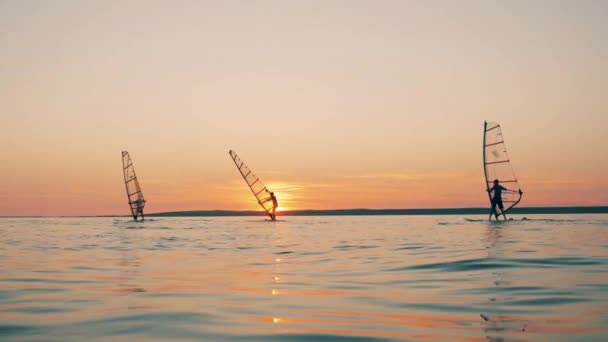 Män på segelbrädor försöker fånga vinden — Stockvideo