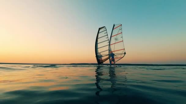 Dois homens estão de pé em pranchas de windsurf à vela — Vídeo de Stock