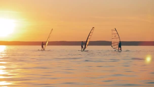 Lago do por do sol com um grupo de homem em pranchas de windsurf — Vídeo de Stock