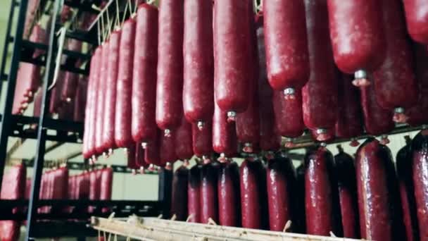 Palitos de salchichas colgando en el espacio de almacenamiento de la fábrica — Vídeos de Stock