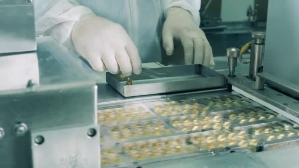 El farmacólogo comprueba los tubos con líquido que se mueve en un transportador. Industria farmacéutica, línea de producción de fábrica médica. — Vídeos de Stock