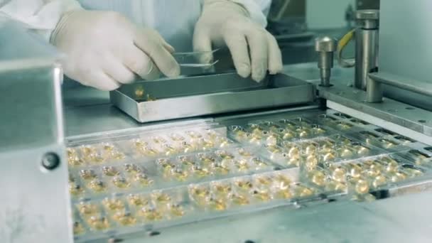 Laboratoriearbetare kontrollerar injektionsflaskor med läkemedel på en produktionslinje. — Stockvideo
