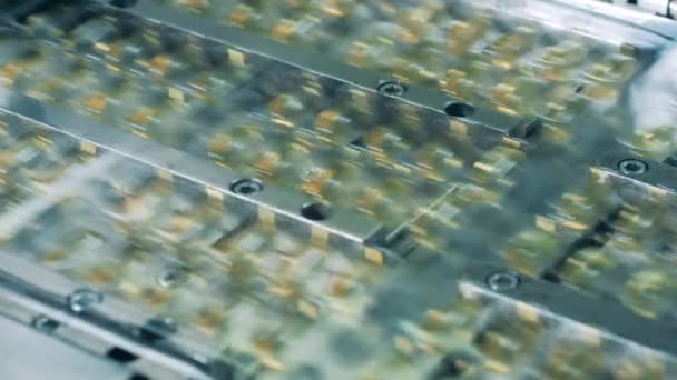 Línea de producción de medicamentos en una planta farmacéutica. Cápsulas en paquetes se mueven en un transportador. — Vídeos de Stock