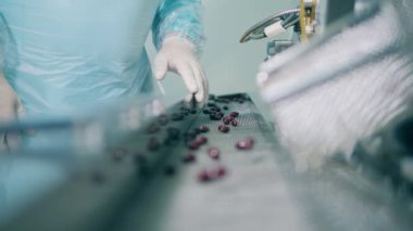 Profesyonel eczacı laboratuvardaki karanlık kapsülleri kontrol ediyor. Bir ilaç tesisinde ilaç üretim hattı..