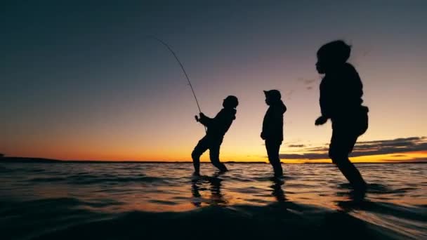 Otec ukazuje svým synům, jak chytat ryby — Stock video