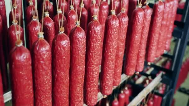 Dry sausages prepared on a rack. — Stock Video