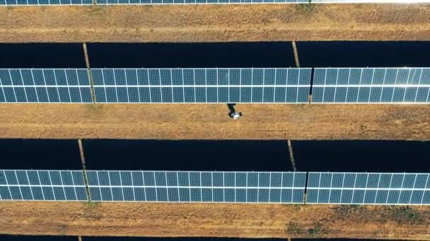 Un uomo sta camminando attraverso una centrale elettrica solare in una vista dall'alto — Video Stock
