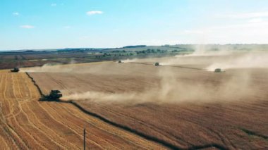 Buğday hasadının birden fazla kombinasyonuyla büyük bir alan.