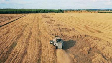 Bir ekin tarlasının üst görüntüsü bir birleşim tarafından hasat ediliyor.