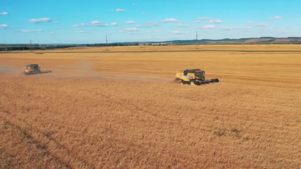 Machine agricole sont chevauchant le long du champ et récolter du blé