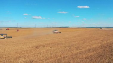 Çavdar tarlası iş yerinde çoklu hasat kombinasyonları ile