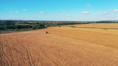 Büyük bir çavdar tarlası ve ekin biçme çiftliği.
