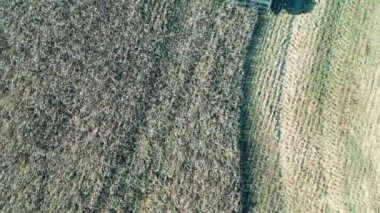 Çavdar tarlasının tarımsal bir araç tarafından biçilmesinin üst görüntüsü