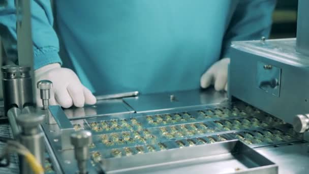 Farmakolog tittar på medicin piller produktionslinje. Begreppet läkemedelsindustri. — Stockvideo