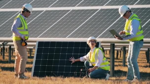 Pracovníci s elektřinou diskutují o solárním panelu — Stock video