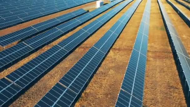 Mehrere Batterieleitungen auf dem Photovoltaikfeld. Erneuerbare Energien, Solarstromkonzept. — Stockvideo