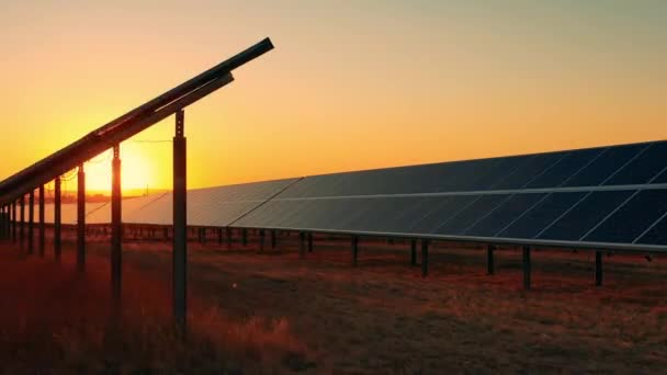 Rader av solbatterier i fält vid solnedgången — Stockvideo