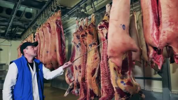 Et işleme fabrikası, gıda üretim tesisi. Bitki uzmanı, giyinmiş et cesetlerini başka yere götürüyor. — Stok video