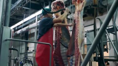 Biftek leşleri bir fabrika çalışanı tarafından yıkılıyor.