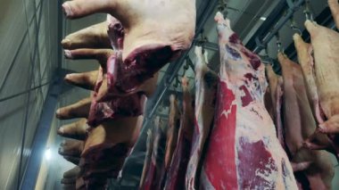 İçinde et leşleri depolanmış fabrika dondurucusu.