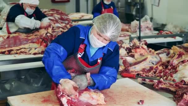 Kobieta pracuje z dużymi kawałkami mięsa. Zakład przetwórstwa mięsa, zakład produkcji żywności. — Wideo stockowe