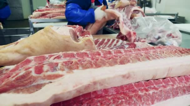 Специалисты завода вырезают большие туши мяса — стоковое видео