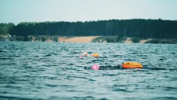 Dwóch pływaków pływających z pływającymi torbami w rzece — Wideo stockowe