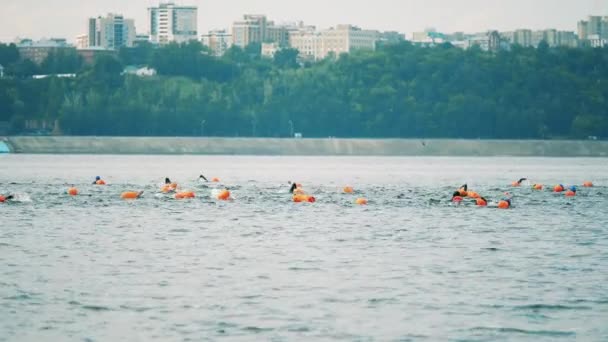 Otwarte wody pływacy pływanie w rzece — Wideo stockowe