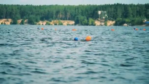 Kilku pływaków pływających na otwartych wodach z pływającymi torbami — Wideo stockowe