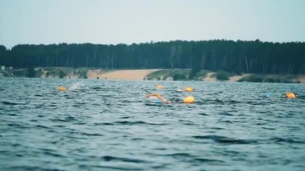 Αρκετοί επαγγελματίες κολυμβητές που συμμετέχουν σε ανοιχτό αγώνα κολύμβησης — Αρχείο Βίντεο