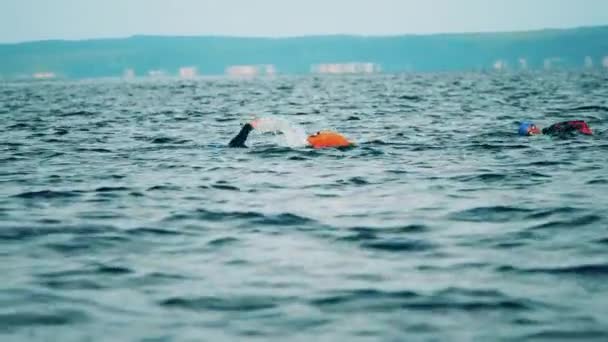 Deux nageurs en eau libre nageant devant rampent dans une rivière — Video