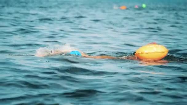 Profesjonalny pływak z pływającą torbą w rzece — Wideo stockowe