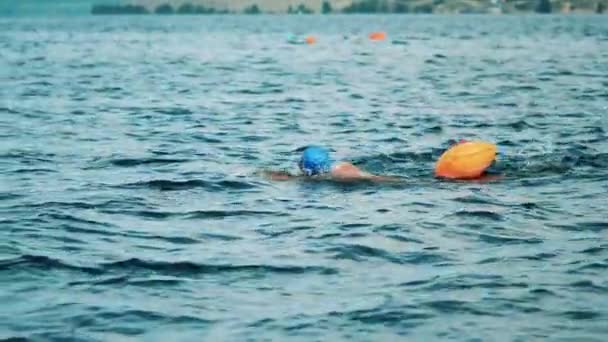 Mâle nageur en eau libre nageant devant ramper dans une rivière agitée — Video