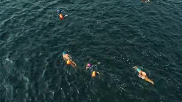 Zdjęcia drona z imprezy pływackiej na otwartej wodzie — Wideo stockowe