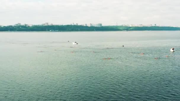 Εναέρια λήψη κολυμβητών ανοιχτής θάλασσας που κολυμπούν σε ποτάμι — Αρχείο Βίντεο