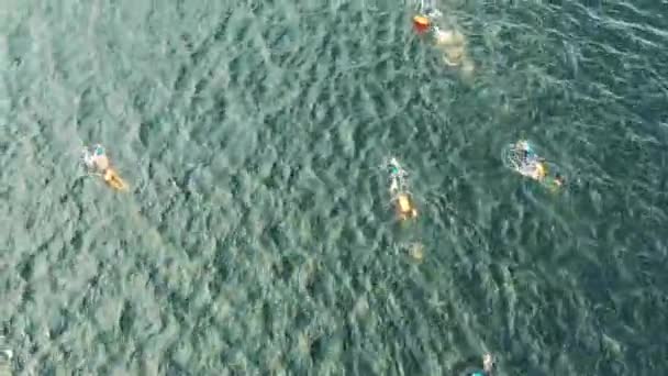 Course de natation en eau libre. Tourné d'en haut — Video