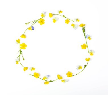 Yuvarlak kare çelengi çayır çiçek beyaz arka plan üzerinde izole yapılmış. Üstten görünüm. Düz yatıyordu.