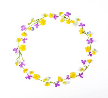 Yuvarlak kare çelengi çayır çiçek beyaz arka plan üzerinde izole yapılmış. Üstten görünüm. Düz yatıyordu.