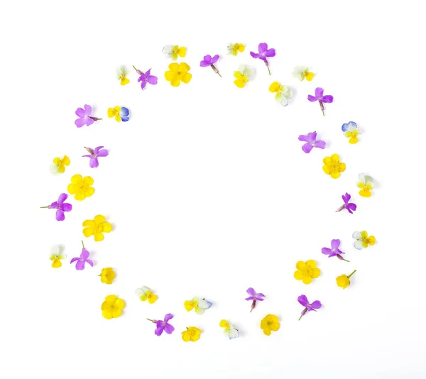 Frame Wreath Made Meadow Flowers Isolated White Background Top View — Stock Photo, Image