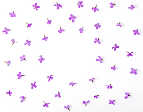 Marco Floral Hecho Flores Violetas Aisladas Sobre Fondo Blanco Vista — Foto de Stock