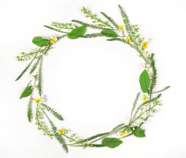 Yuvarlak kare çelenk bahar çiçekleri ve yaprakları beyaz arka plan üzerinde izole yapılmış. Düz yatıyordu. Üstten Görünüm.