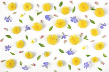 Çiçek desenli sarı çiçekler karahindiba, Lila, pembe tomurcukları ve yeşil yaprakları beyaz arka plan üzerinde izole yapılmış. Düz yatıyordu. Üstten Görünüm.